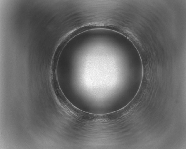 X0000075410536200609251047