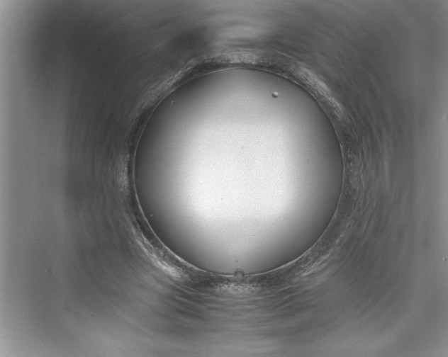 X0000075410537200609251047