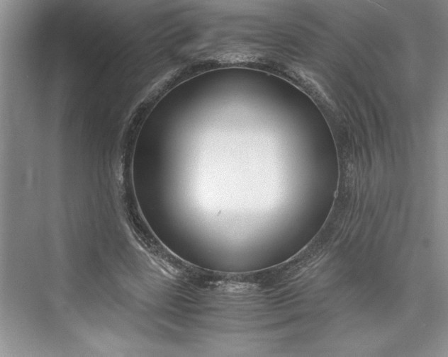 X0000075410539200609251047