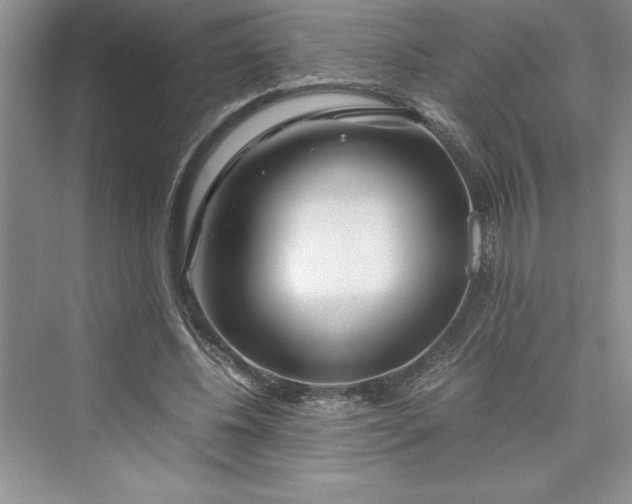 X0000075410540200609251047