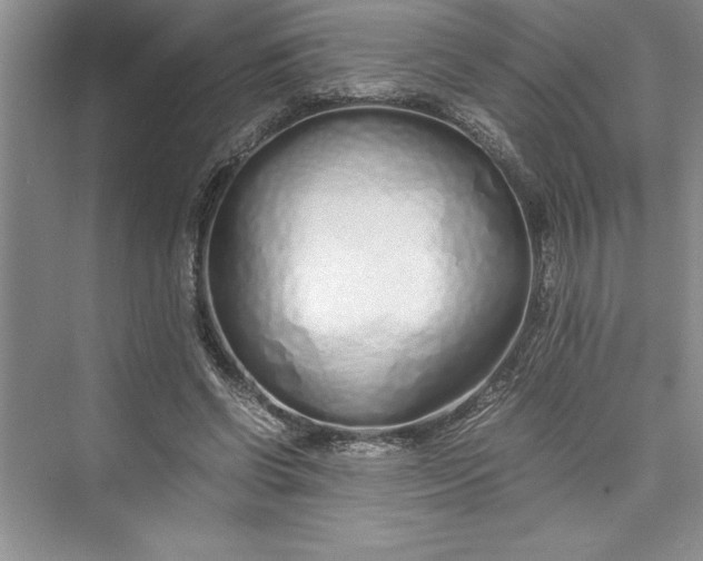 X0000075410542200609251047