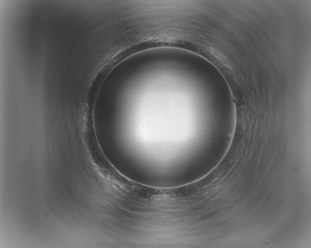 X0000075410544200609251047