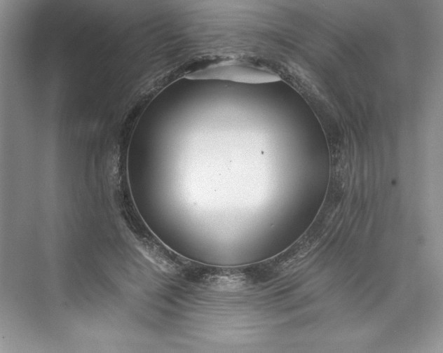 X0000075410548200609251047