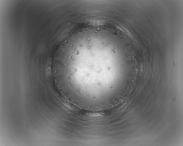 X0000075410553200609251047