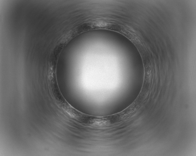 X0000075410555200609251047