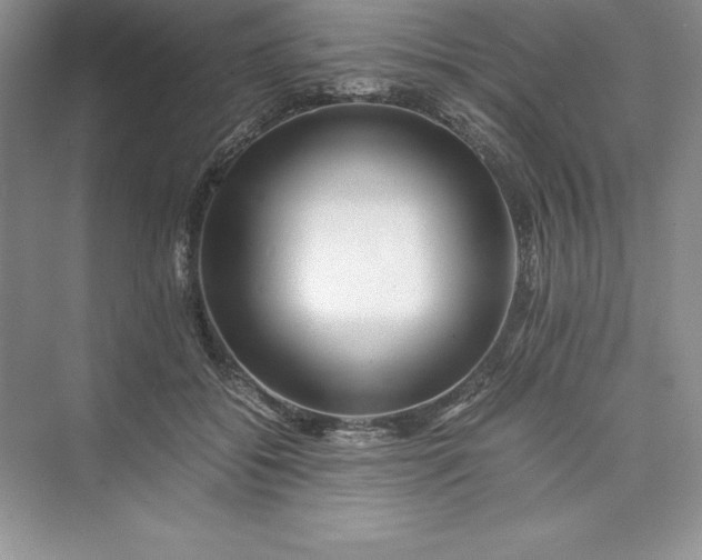 X0000075410556200609251047