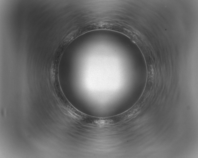 X0000075410558200609251047