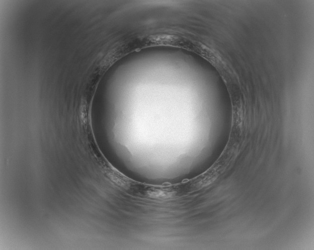 X0000075410561200609251047