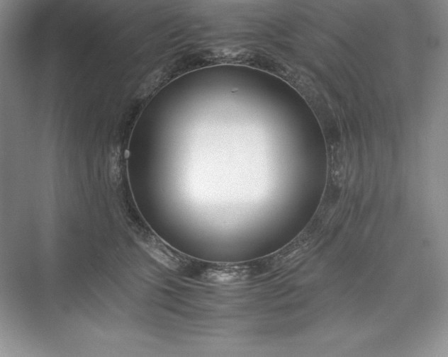 X0000075410563200609251047