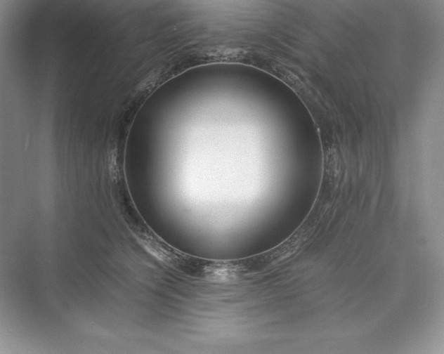 X0000075410564200609251047