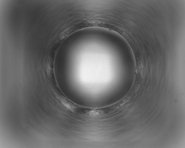 X0000075410566200609251047