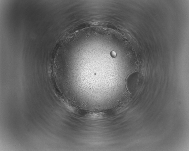 X0000075410569200609251047