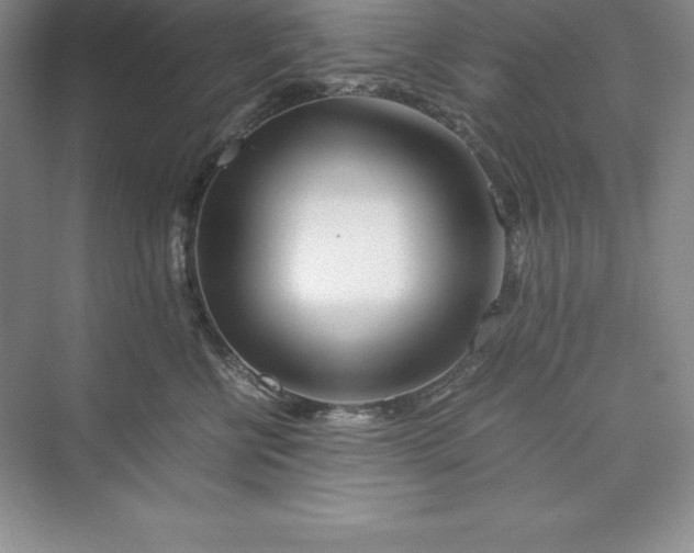 X0000075410570200609251047