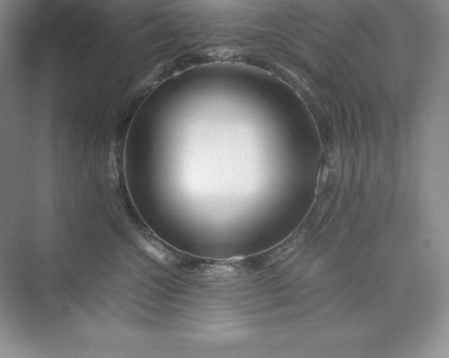 X0000075410572200609251047