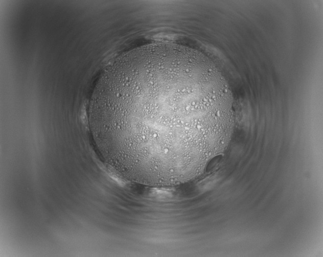 X0000075410573200609251047