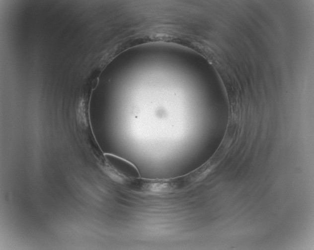 X0000075410575200609251047