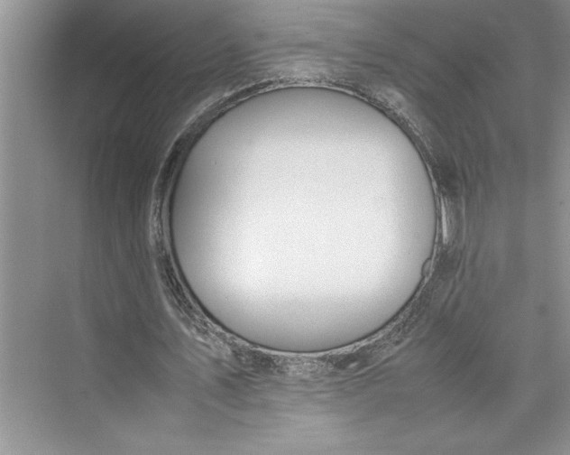 X0000075410579200609251047