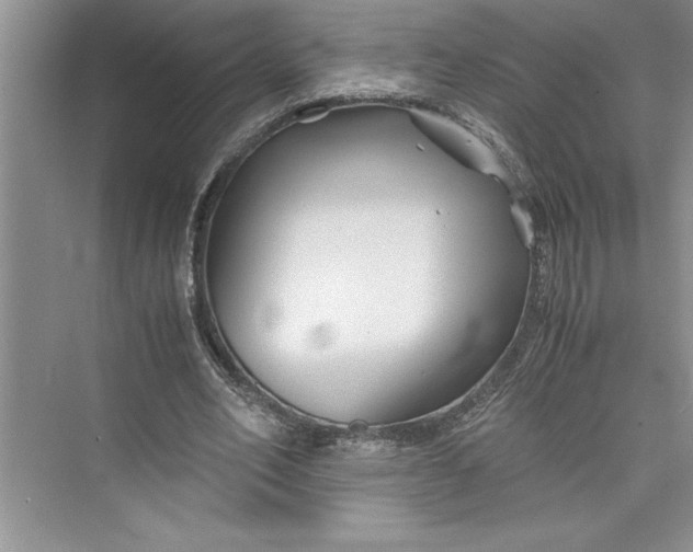 X0000075410582200609251047