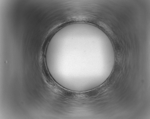 X0000075410583200609251047