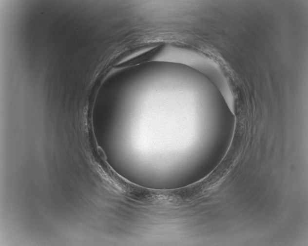 X0000075410585200609251046