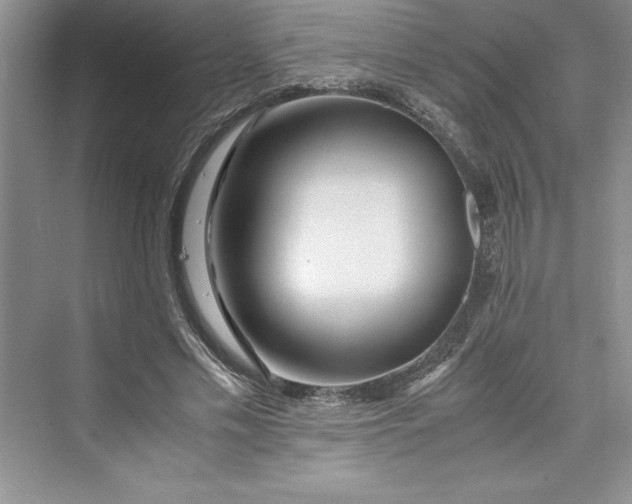 X0000075410589200609251046