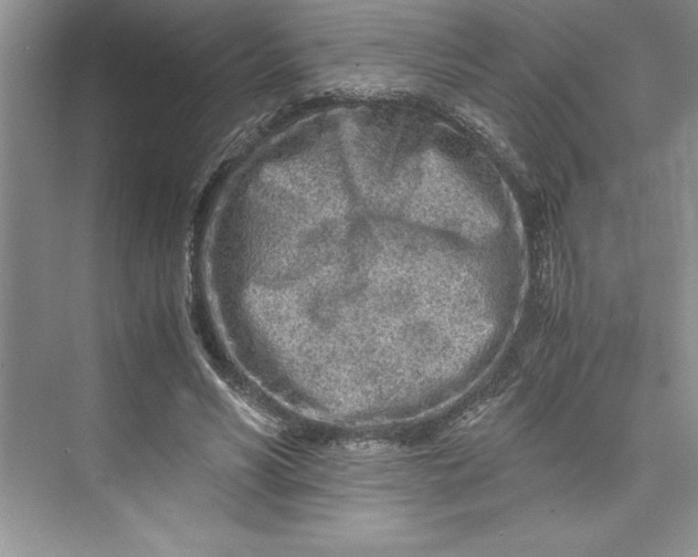 X0000075410590200609251046