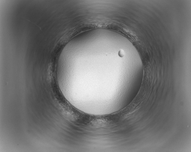 X0000075410594200609251046