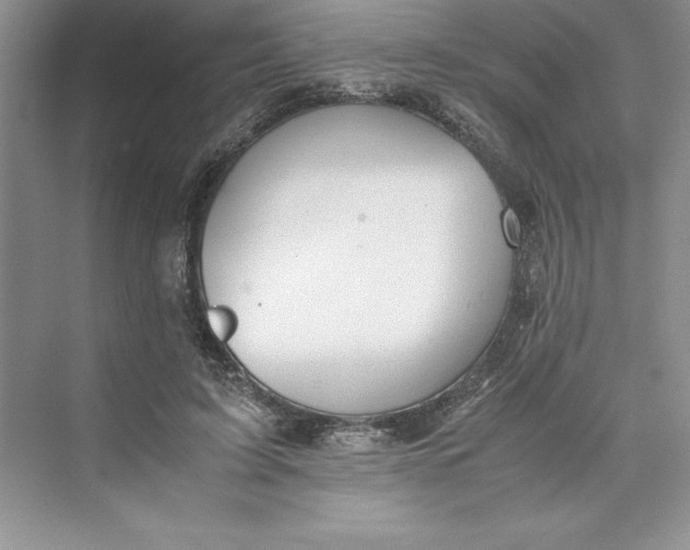 X0000075410595200609251046