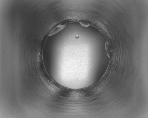 X0000075410596200609251046