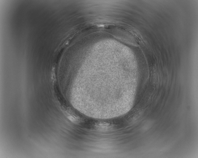 X0000075410598200609251046