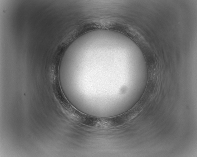 X0000075410599200609251046