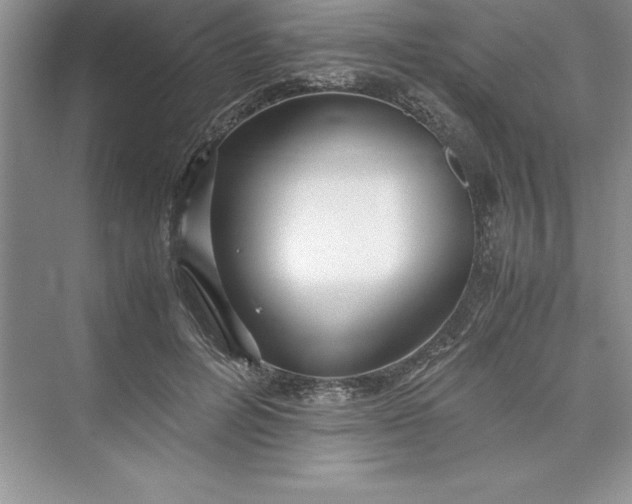 X0000075410600200609251046