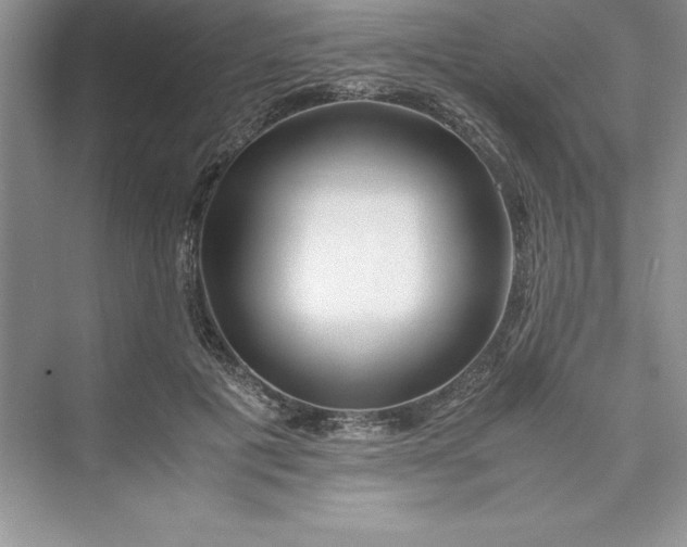 X0000075410601200609251046