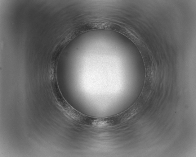 X0000075410602200609251046