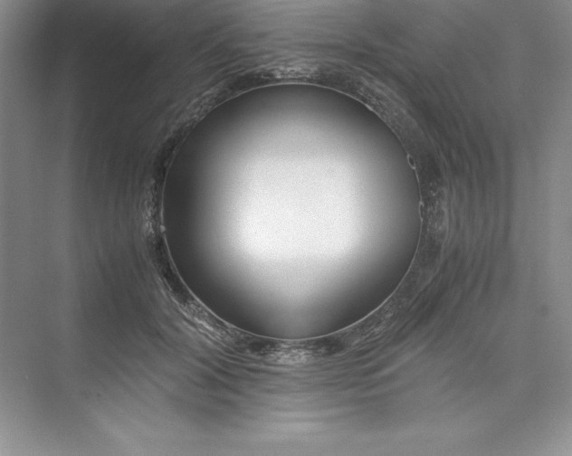 X0000075410604200609251046