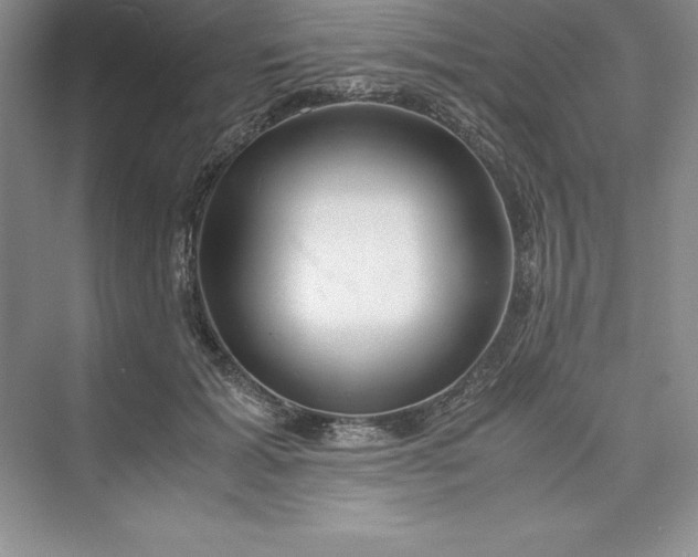 X0000075410605200609251046