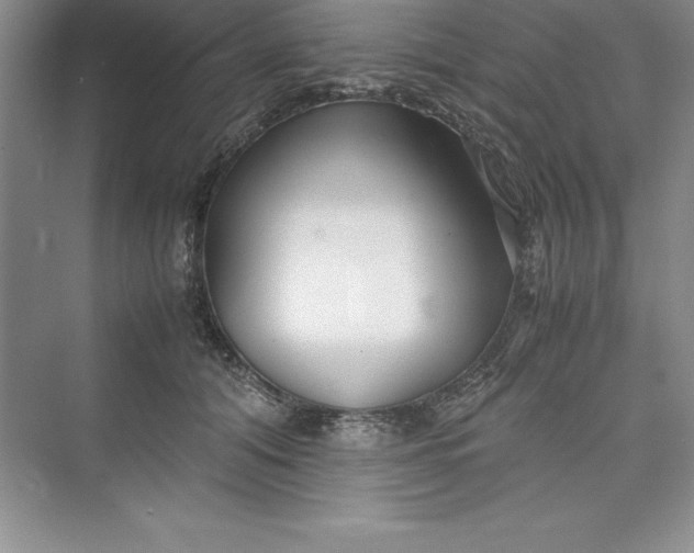 X0000075410608200609251046