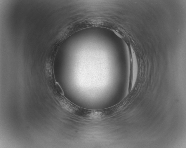 X0000075410609200609251046