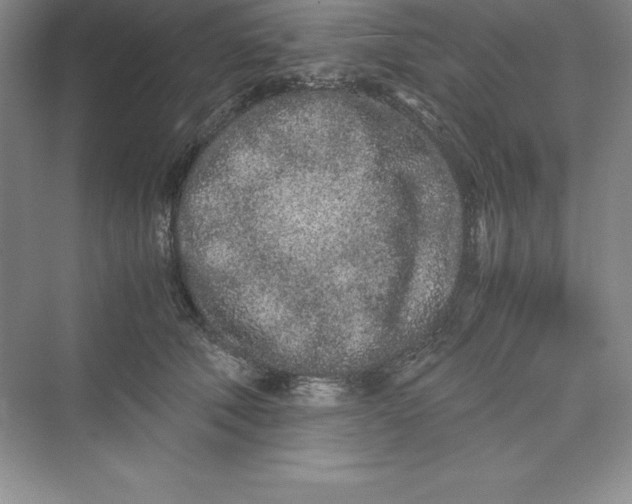 X0000075410610200609251046