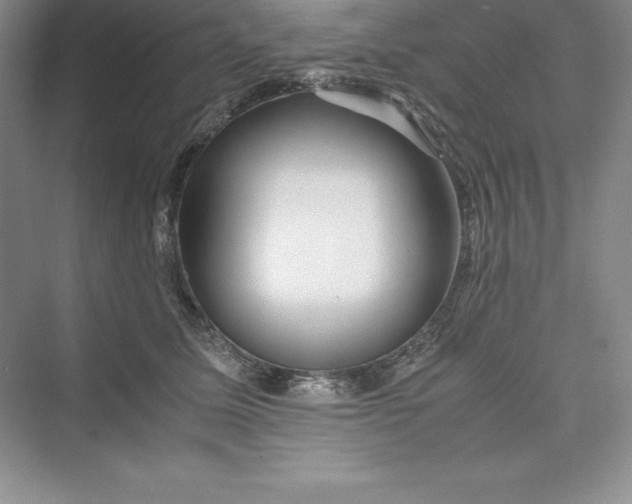 X0000075410611200609251046