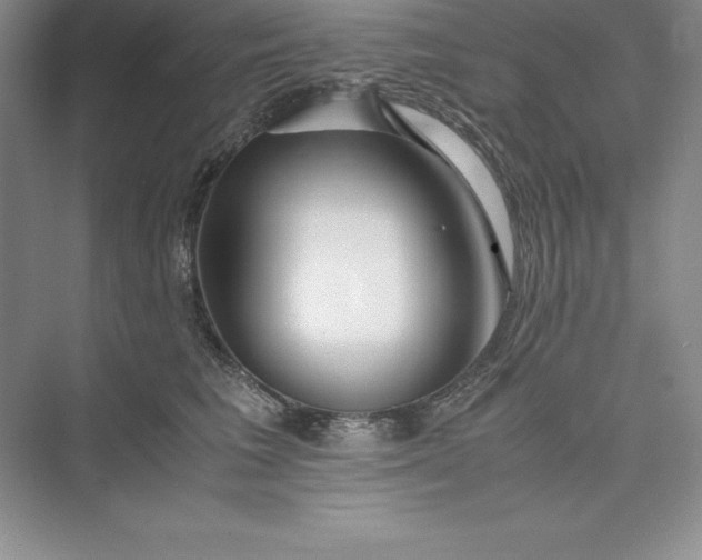 X0000075410613200609251046