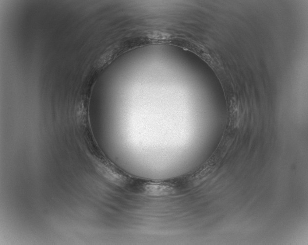 X0000075410614200609251046