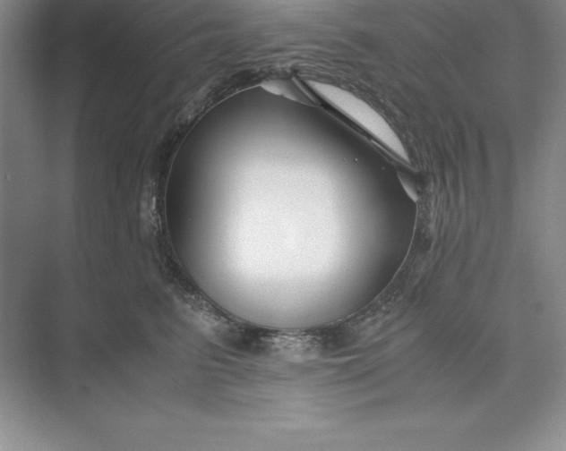 X0000075410615200609251046