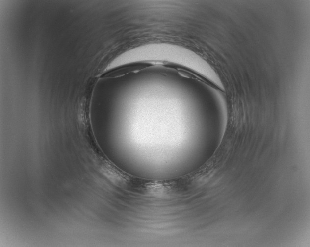 X0000075410616200609251046