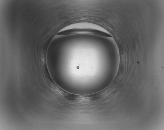 X0000075410617200609251046