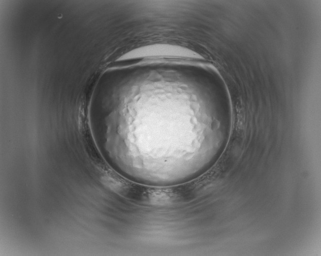 X0000075410618200609251046