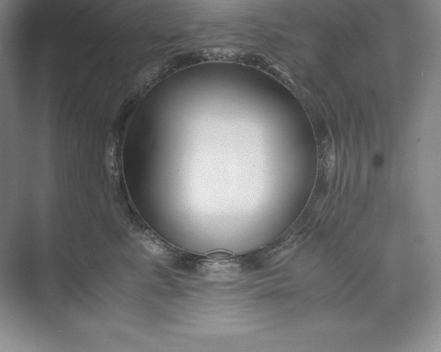 X0000075410619200609251046