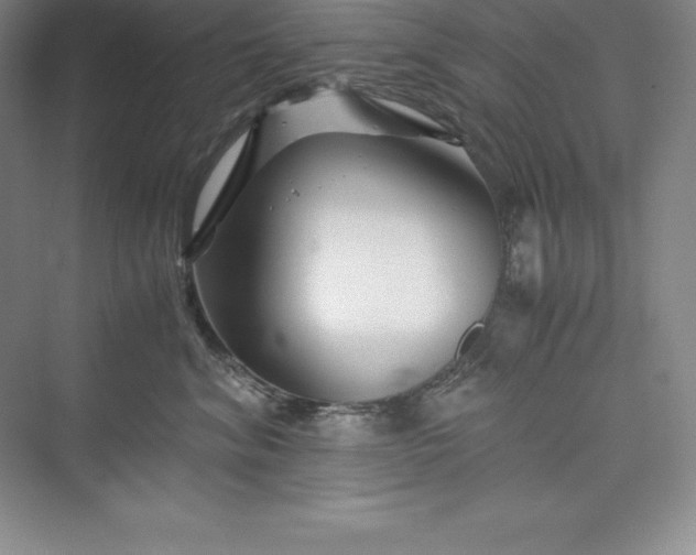 X0000075410620200609251046