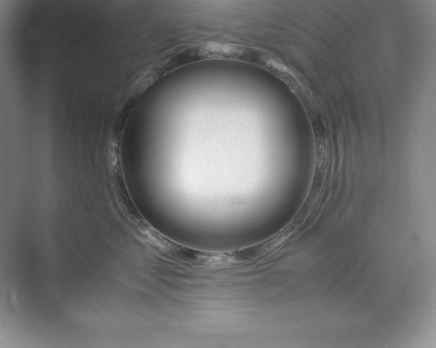 X0000075410621200609251046