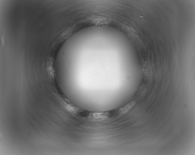 X0000075410622200609251046